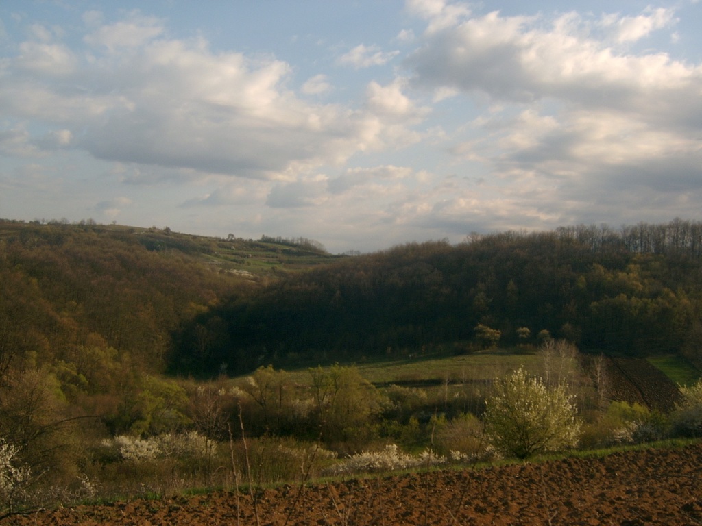 Lovište "Orlovica"