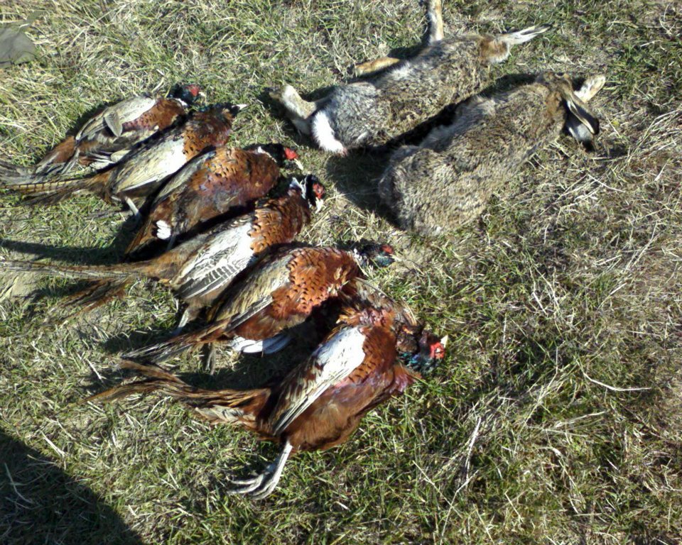 Lovačka sekcija Stenjevac